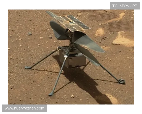 足球明星刮脚皮的背后故事揭示运动员如何保持最佳状态与健康秘诀