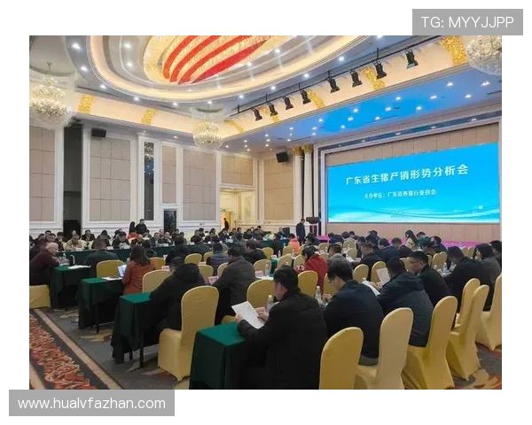 足球明星刘子宁的崛起之路与未来发展展望分析