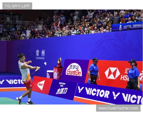 南京羽毛球队转型之路的挑战与机遇全景报道