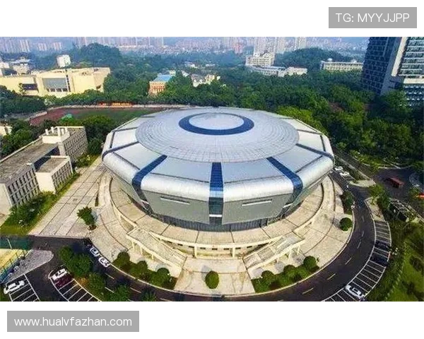 重庆乒乓球队的阵地战体系与战术解析探讨