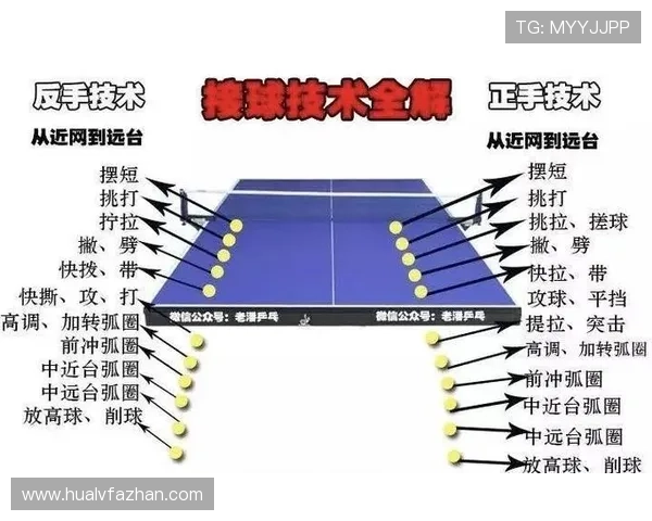 乒乓球焦点：深圳乒乓球队的技术探讨